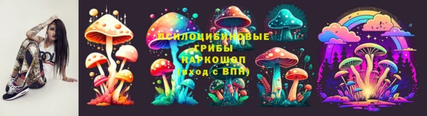 стаф Алексеевка