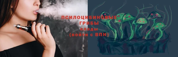 гидропоника Алзамай