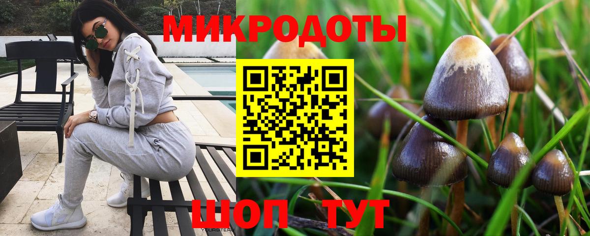 Тавда  Псилоцибиновые грибы MAGIC MUSHROOMS  Вход с VPN 