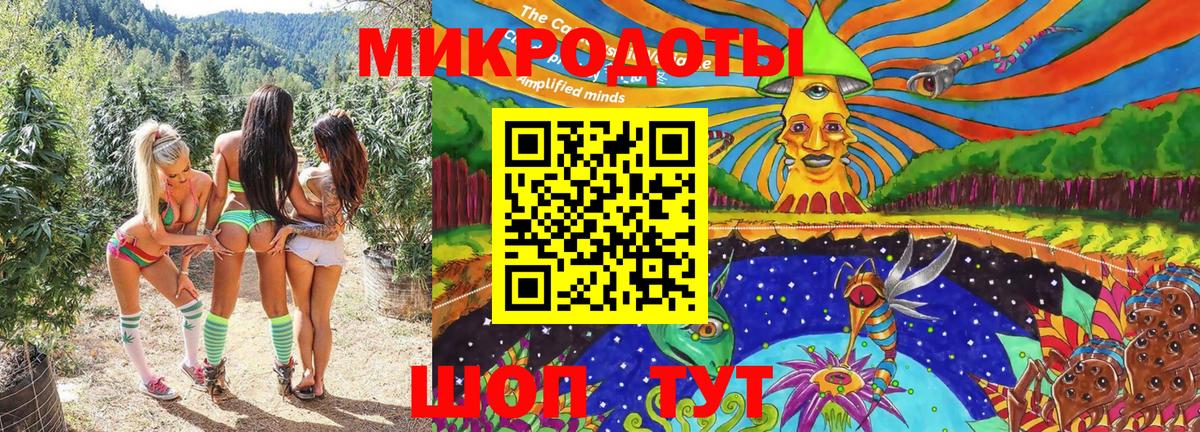 Псилоцибиновые грибы Psilocybine cubensis Тавда