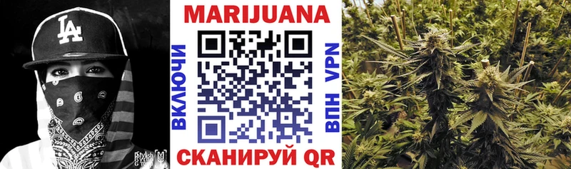 Шишки марихуана конопля Тавда